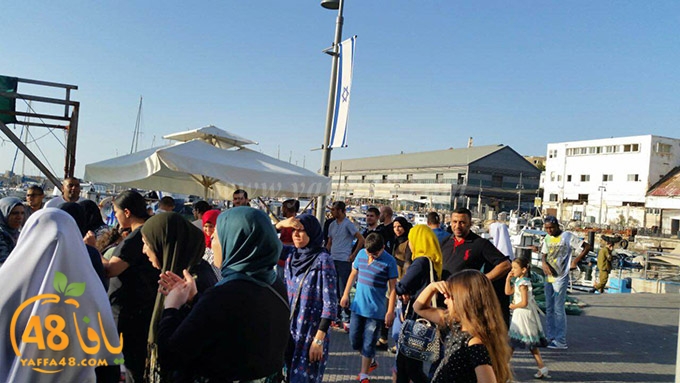 som bokm mina2 (15).JPG